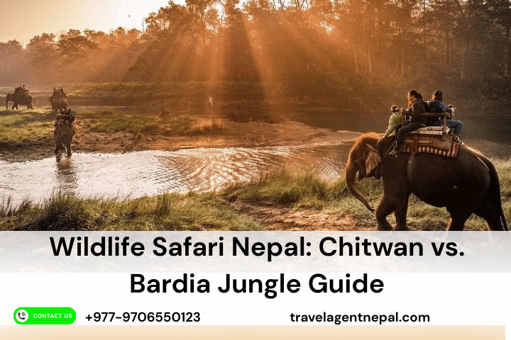 Wildlife Safari Nepal: Chitwan vs. Bardia Jungle Guide